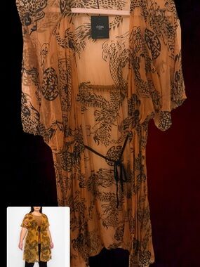 COIN Sheer Dragon-Print Kimono Robe in Tan and Black